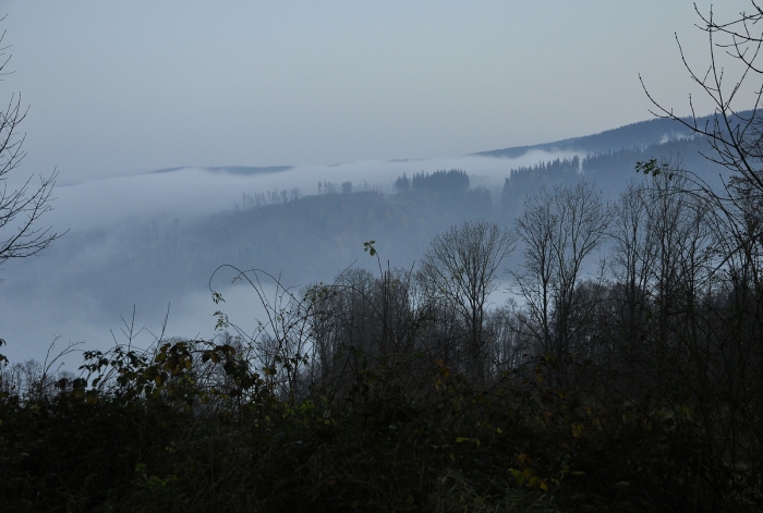 Tajuplné kopce, nad Petrovicemi